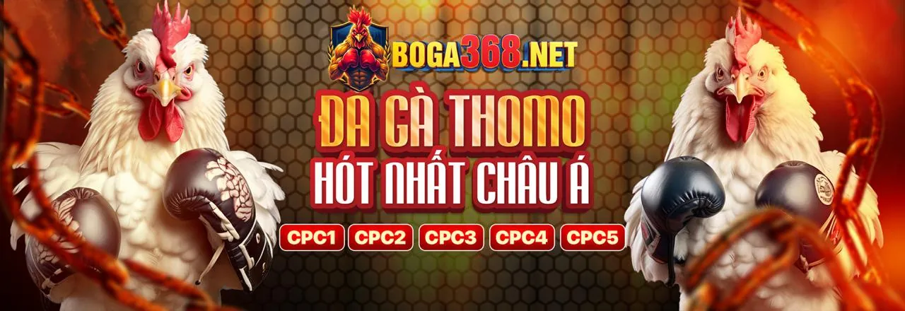 Đá gà trực tuyến f8bet2 khuyến mãi 2026